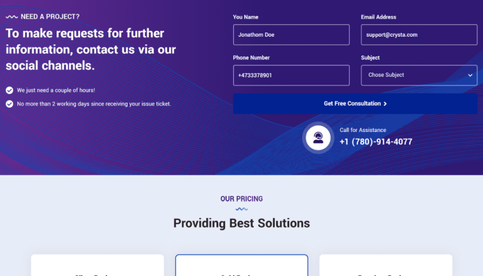 Corepay Website (4)