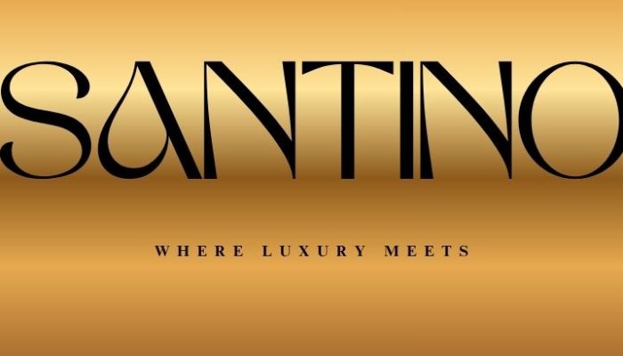 I will design a unique and luxurious fashion, beauty, or clothing brand logo (6)
