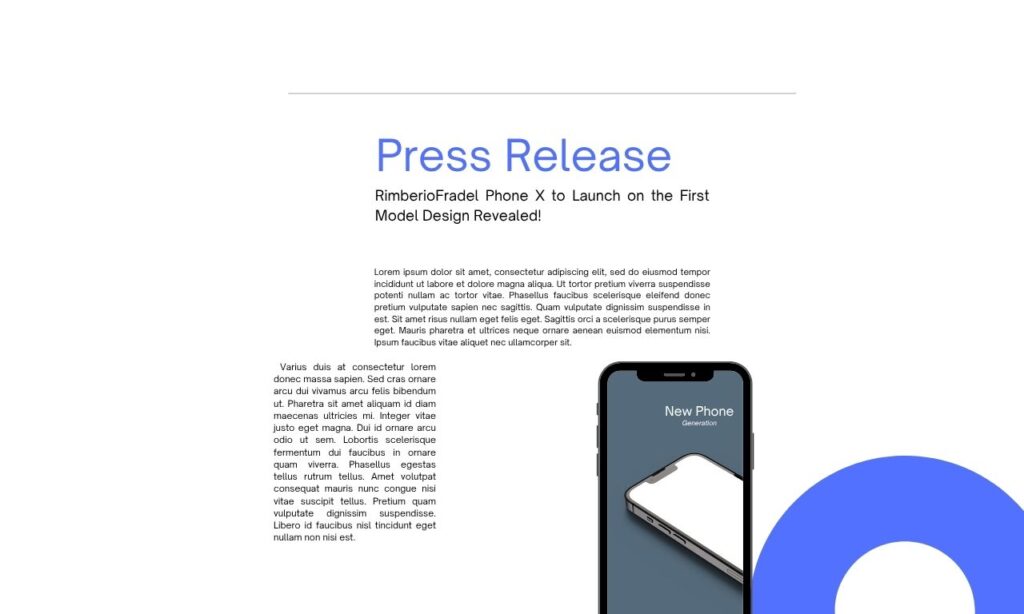 I will provide SEO press release distribution